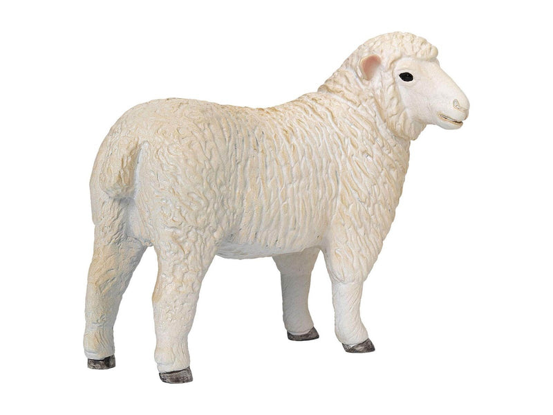 Mojo - Farmland Romney Sheep Ewe