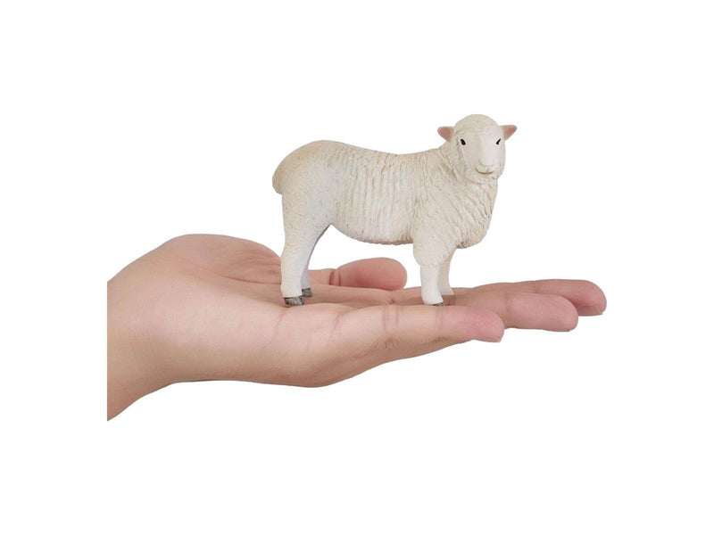 Mojo - Farmland Romney Sheep Ewe