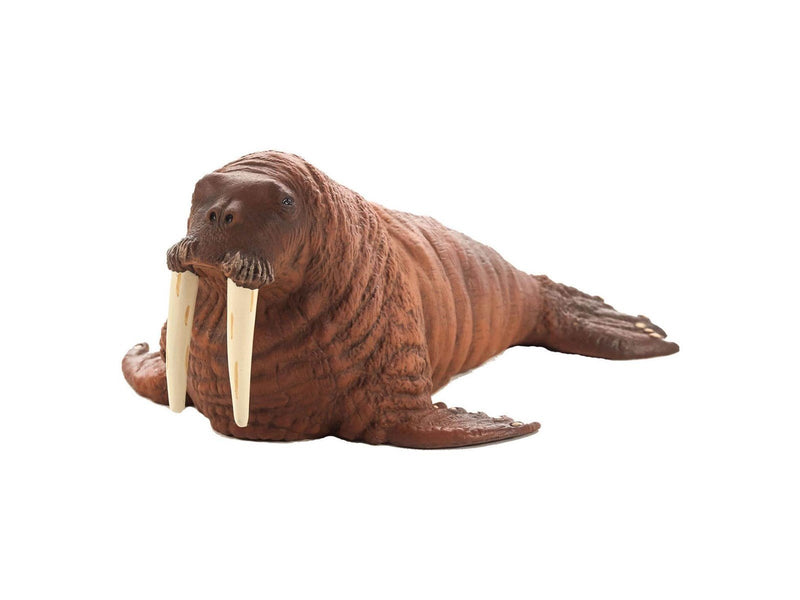 Mojo - Sealife Walrus