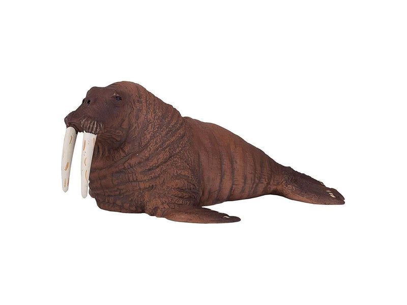 Mojo - Sealife Walrus