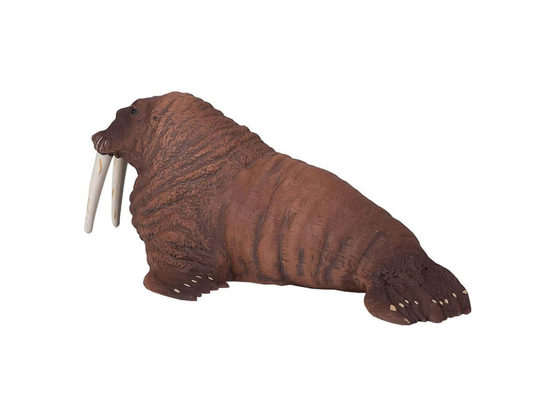 Mojo - Sealife Walrus
