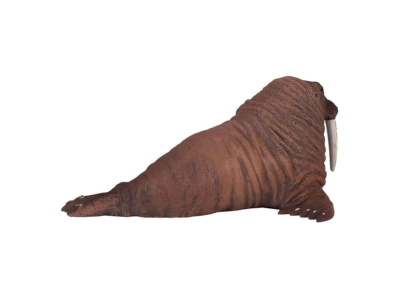 Mojo - Sealife Walrus