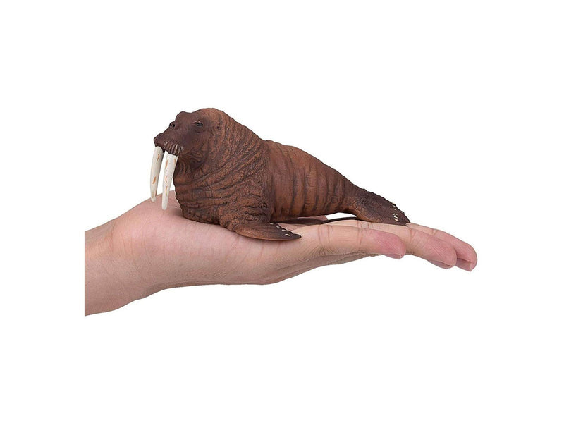 Mojo - Sealife Walrus