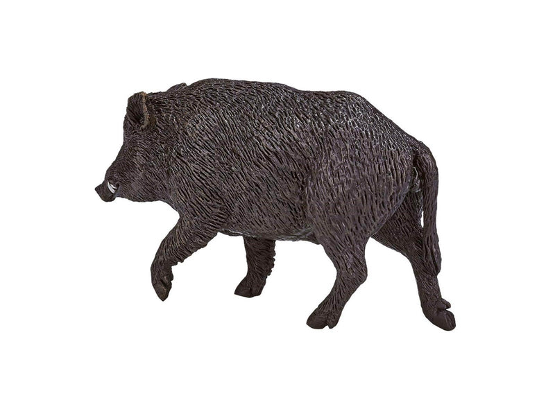 Mojo - Wildlife Wild Boar Male