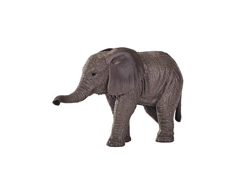 Mojo - Wildlife African Elephant Calf