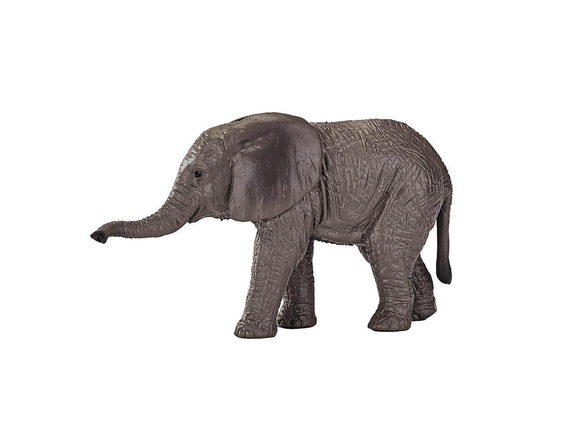 Mojo - Wildlife African Elephant Calf