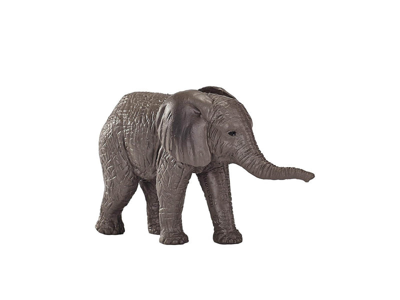 Mojo - Wildlife African Elephant Calf