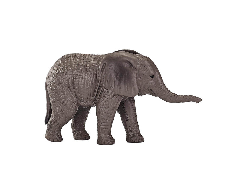 Mojo - Wildlife African Elephant Calf