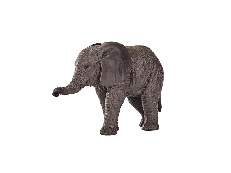 Mojo - Wildlife African Elephant Calf
