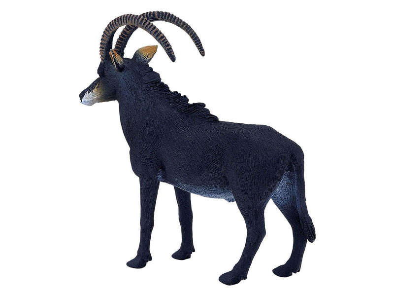 Mojo - Wildlife Sable Antelope
