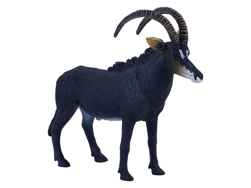 Mojo - Wildlife Sable Antelope