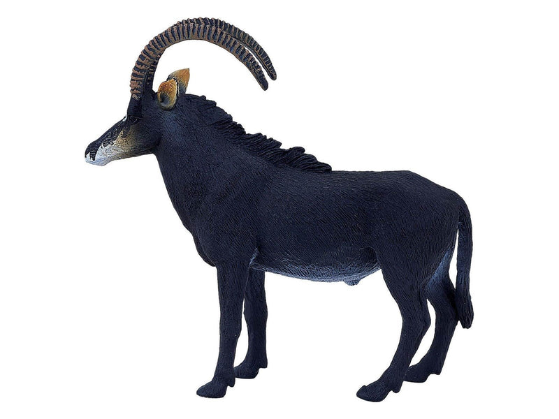 Mojo - Wildlife Sable Antelope