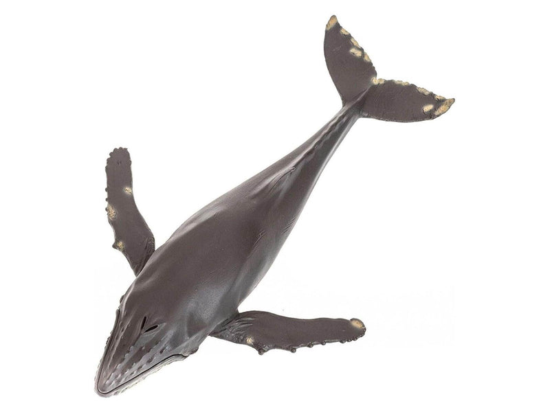 Mojo - Sealife Humpback Whale Large