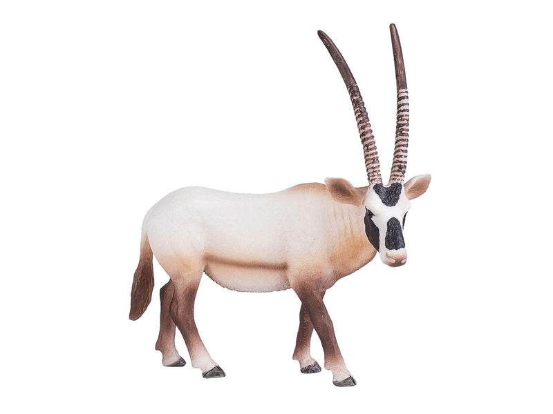 Mojo - Wildlife Oryx