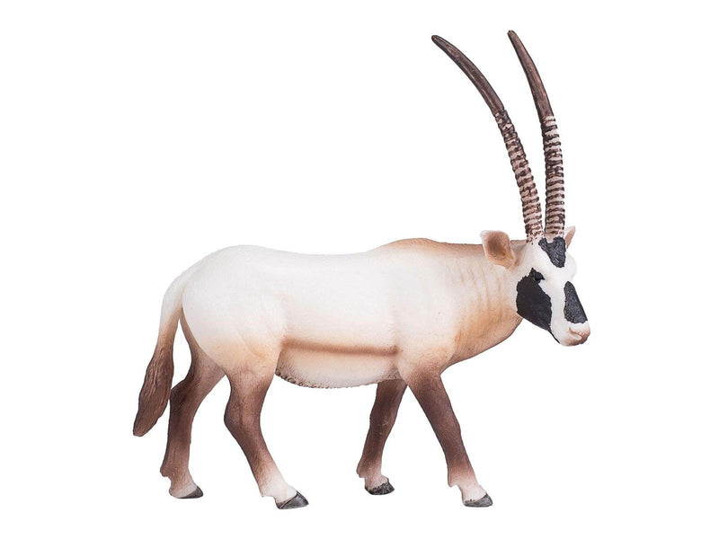 Mojo - Wildlife Oryx