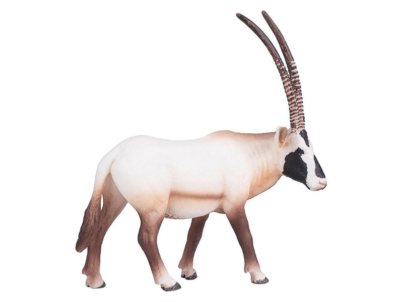 Mojo - Wildlife Oryx