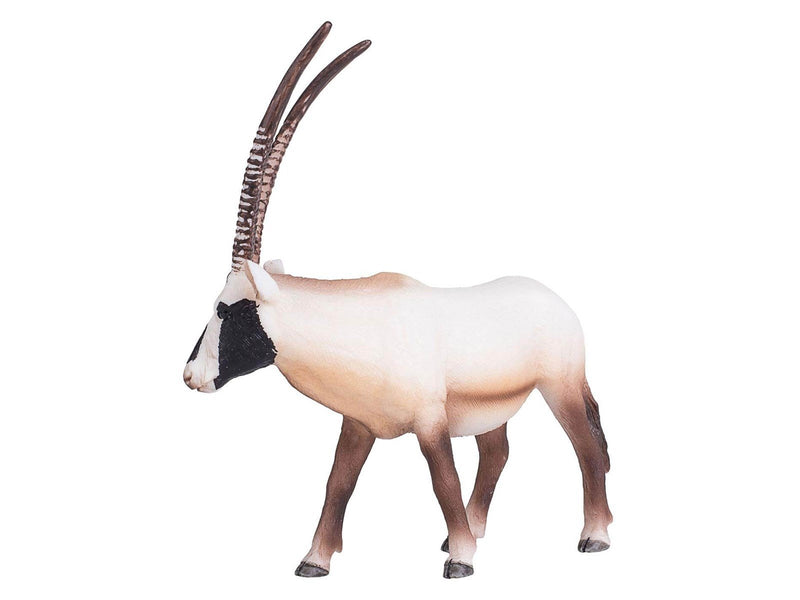 Mojo - Wildlife Oryx