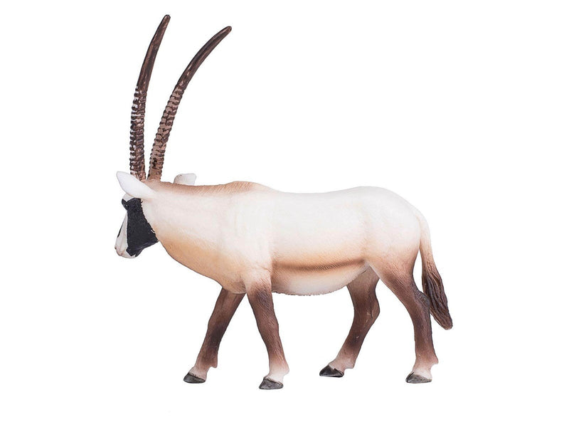 Mojo - Wildlife Oryx