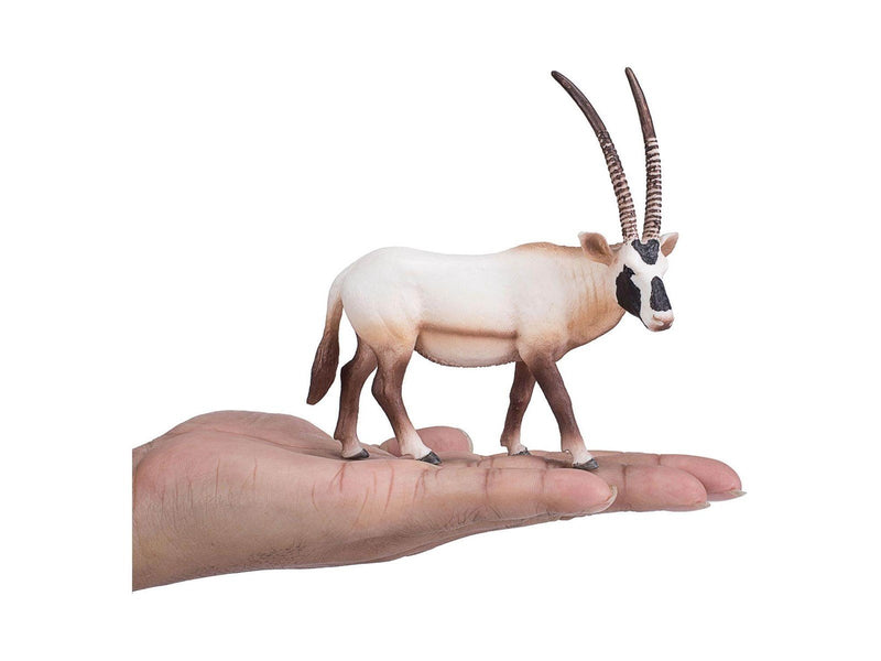 Mojo - Wildlife Oryx