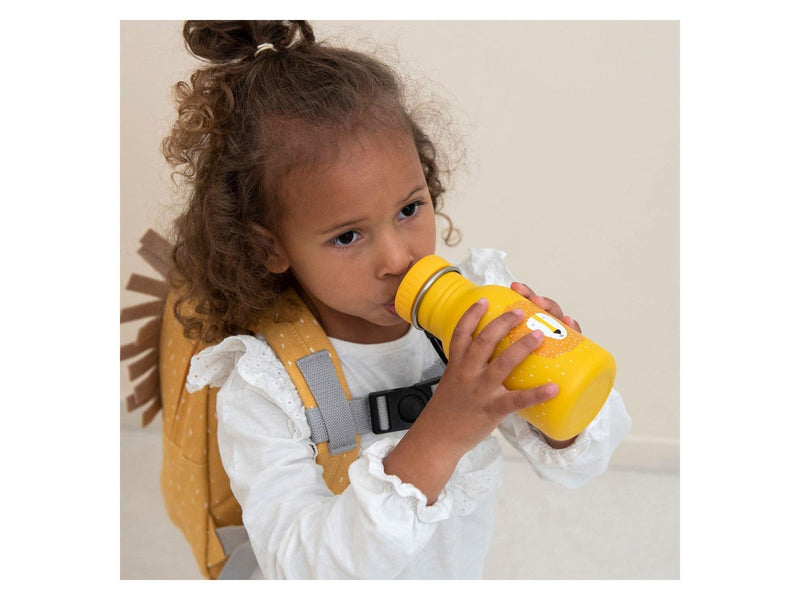 Trixie Baby Drinking bottle Mr Lion 350ml