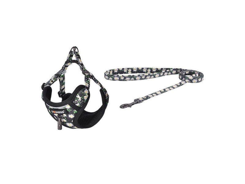 Dogness walking set leash+harness for dog (multicolor)