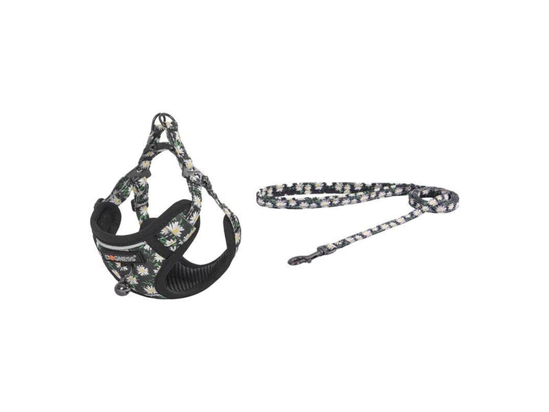 Dogness Cat set harness and leash (Daisy Black)