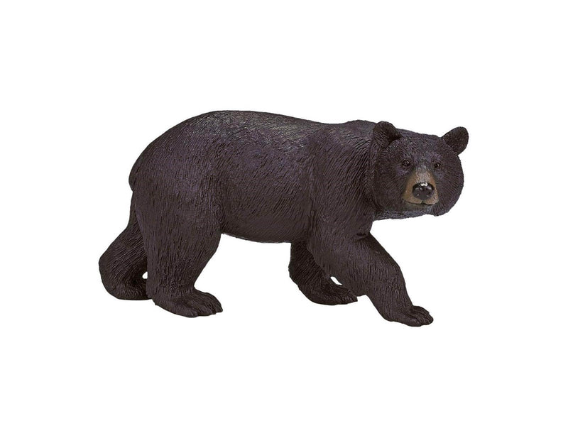 Mojo - Wildlife American Black Bear
