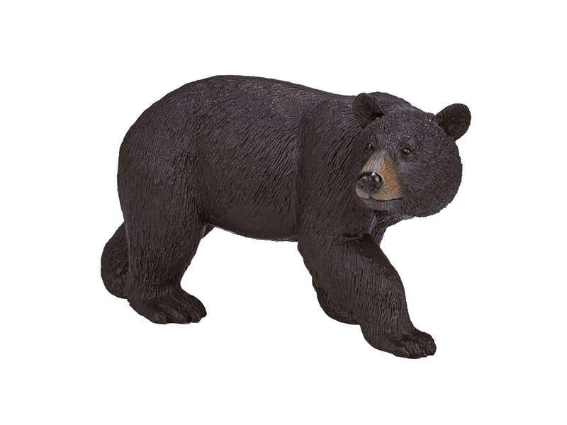 Mojo - Wildlife American Black Bear