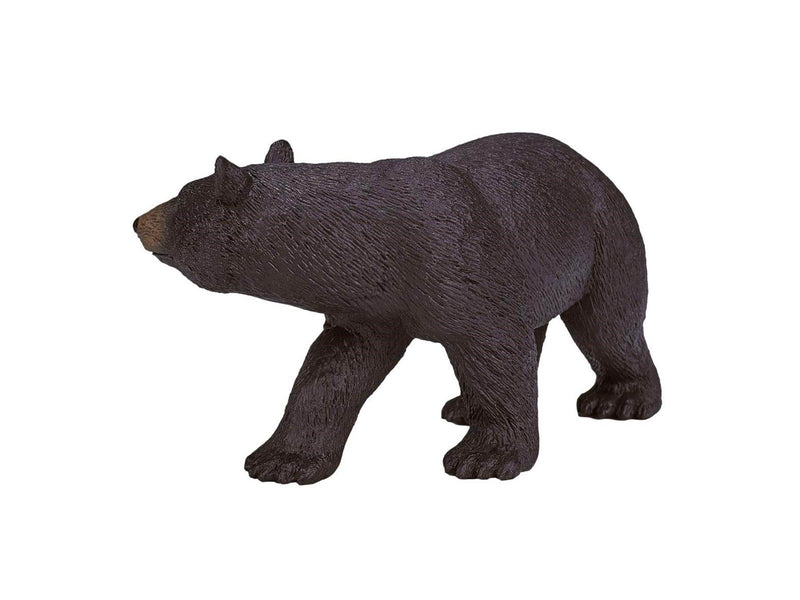 Mojo - Wildlife American Black Bear
