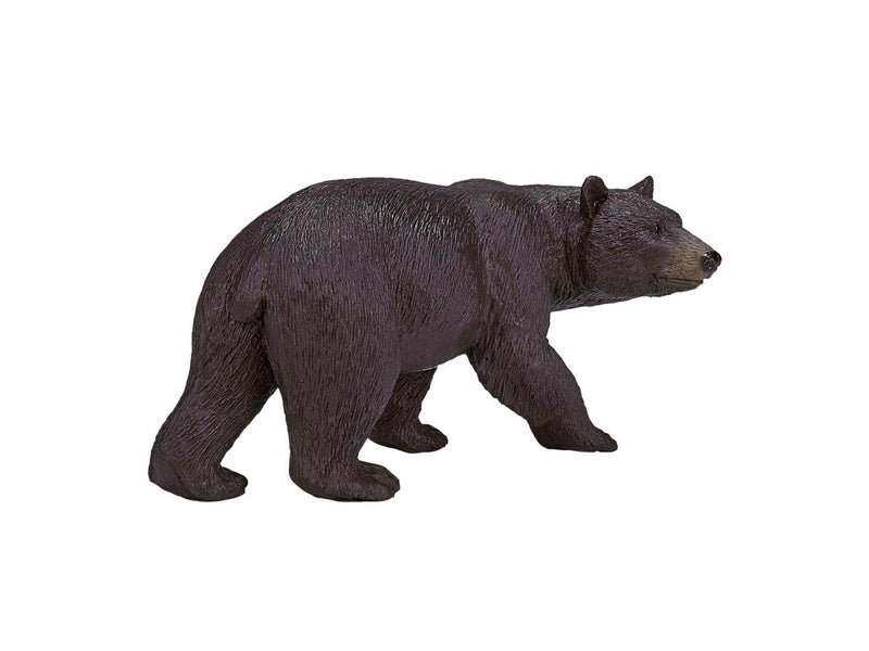 Mojo - Wildlife American Black Bear