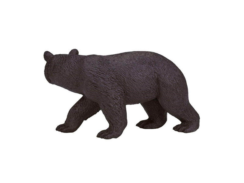 Mojo - Wildlife American Black Bear