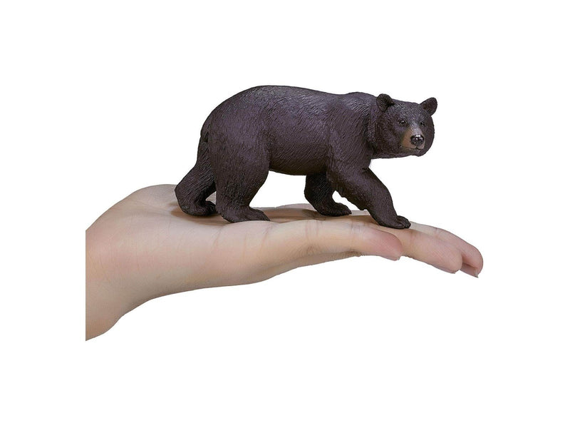Mojo - Wildlife American Black Bear