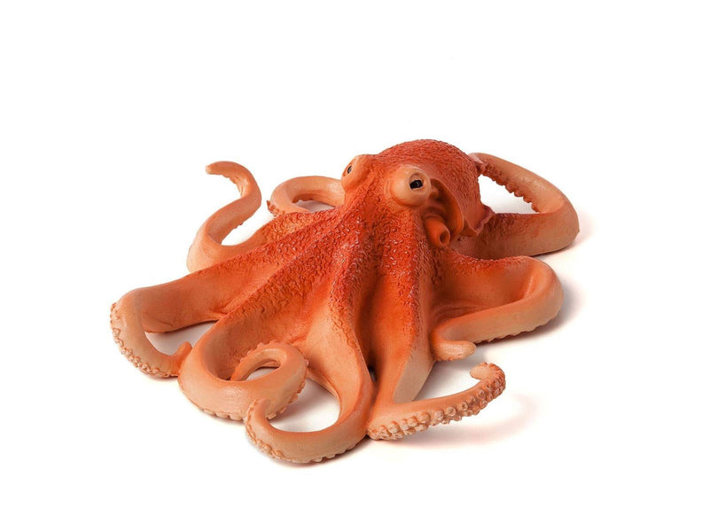 Mojo - Sealife Octopus