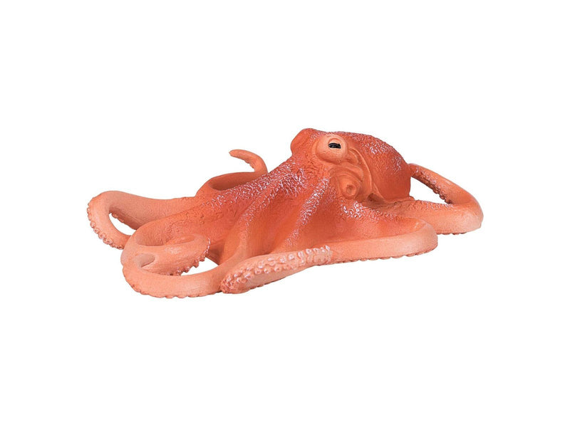 Mojo - Sealife Octopus