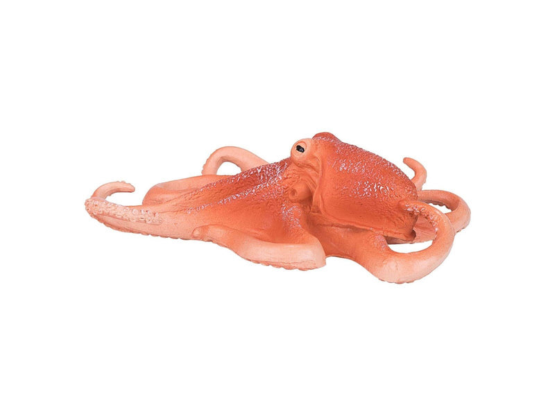 Mojo - Sealife Octopus