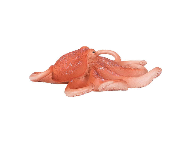 Mojo - Sealife Octopus