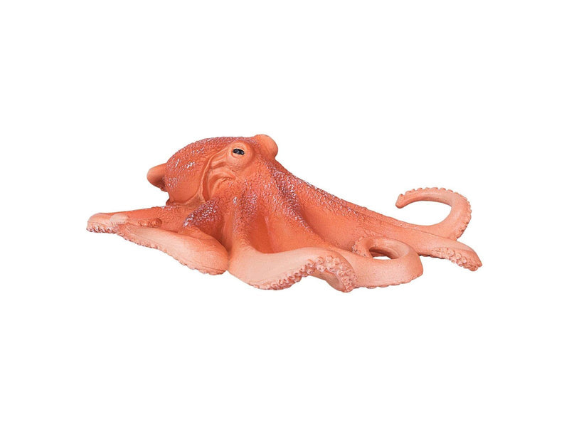 Mojo - Sealife Octopus