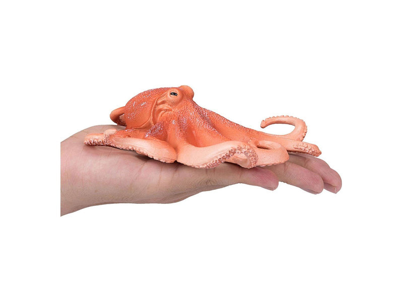 Mojo - Sealife Octopus