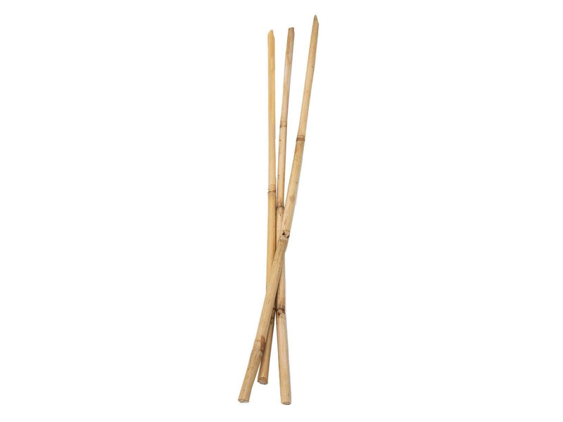 Colorations - Bamboo sticks 50cm 3 pcs.