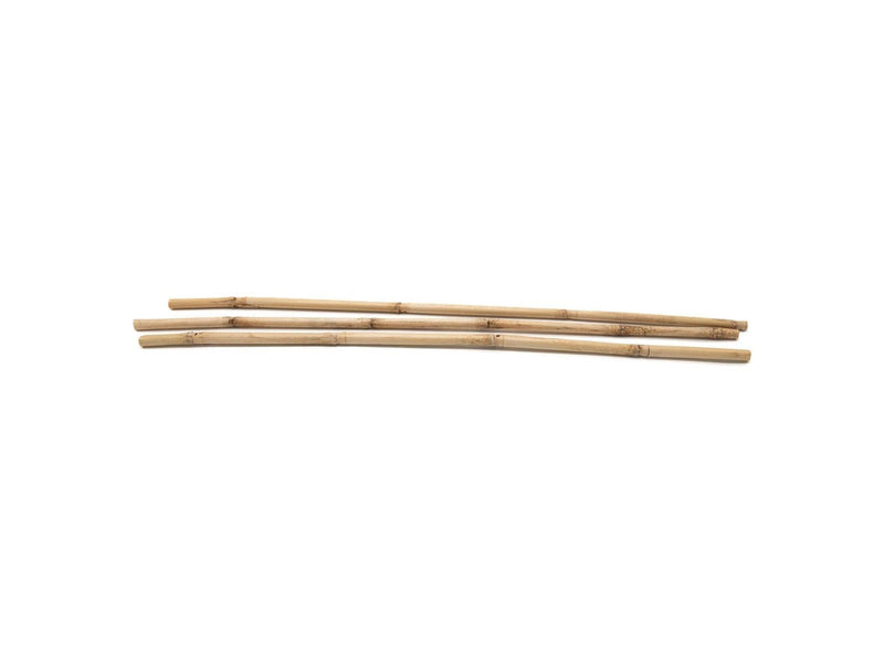 Colorations - Bamboo sticks 50cm 3 pcs.