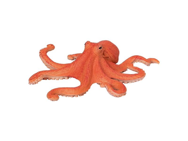 Mojo - Sealife Octopus