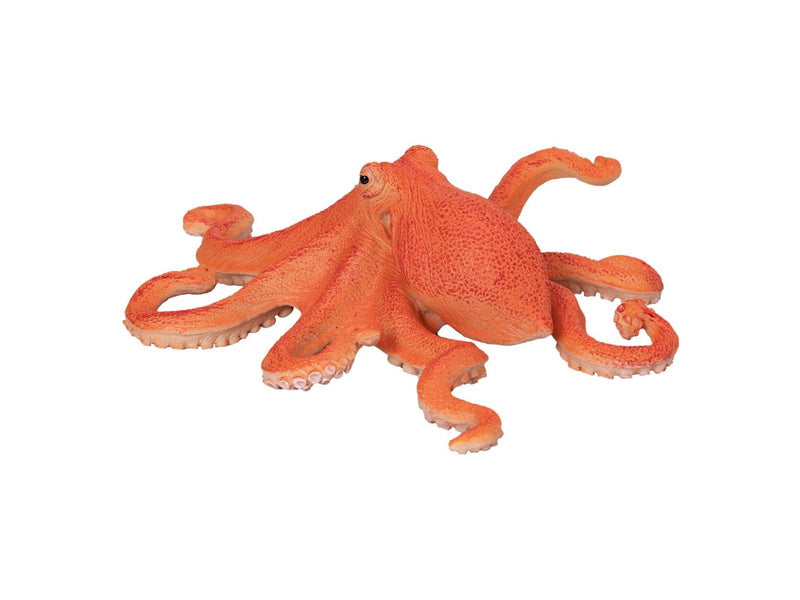 Mojo - Sealife Octopus