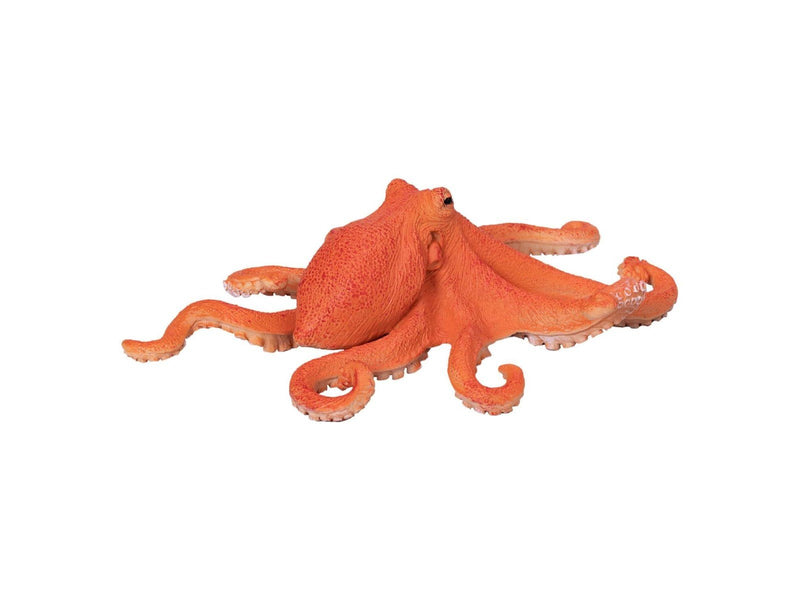 Mojo - Sealife Octopus
