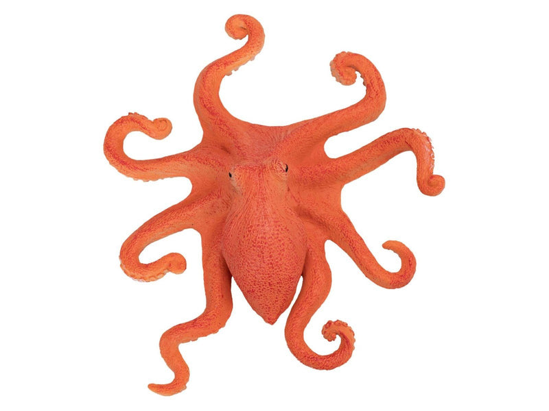 Mojo - Sealife Octopus