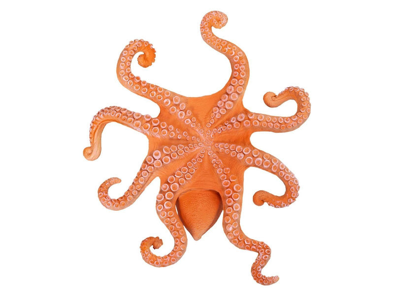 Mojo - Sealife Octopus