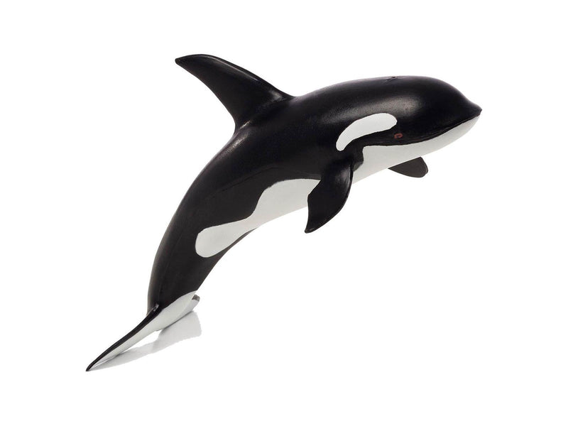 Mojo - Sealife Orca Large