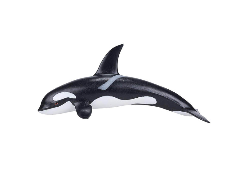 Mojo - Sealife Orca Large