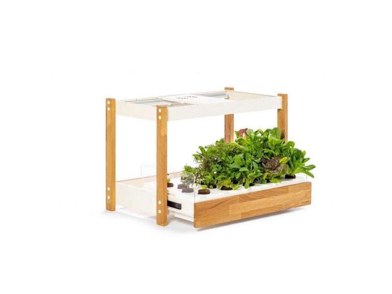 Click & Grow Click and Grow 25 - White (Salad Greens 54x pack)