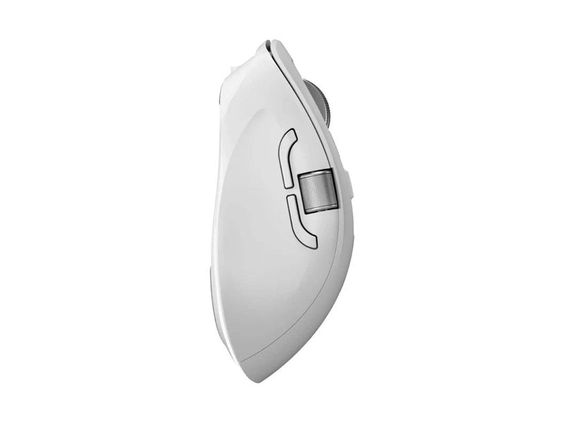 ALOGIC Apex Bluetooth USB-C Rechargeable - Maus (Weiß)