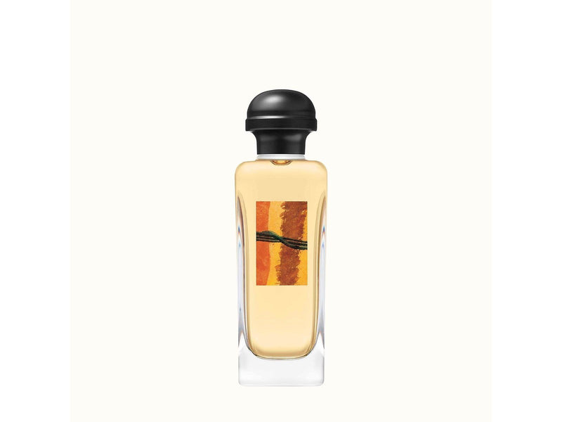 Hermès Rocabar EDT 100ml